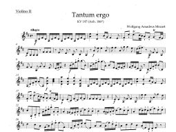 Tantum ergo in D major (K.197) (Violin II)