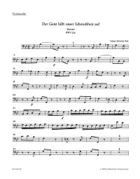 Motet No.2 Der Geist hilft unser Schwachheit auf (BWV 226) (Cello)