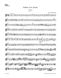 Motet No.5 Komm, Jesu, komm (BWV 229) (Wind Set)