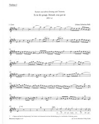 Cantata No.45: Es ist dir gesagt, Mensch, was gut ist (BWV 45) (Violin I)