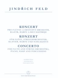 Flute Concerto (Flute & Piano)